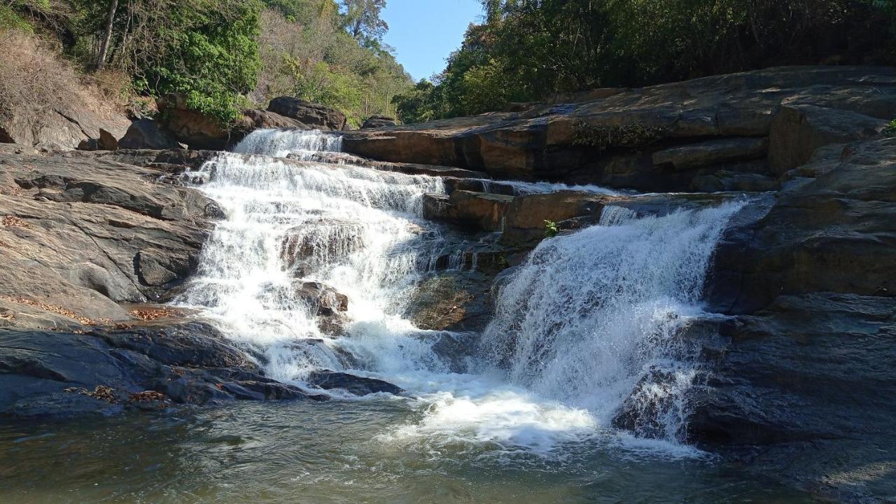 Riverbench Homestay Munnar, Anaviratty Ngoại thất bức ảnh