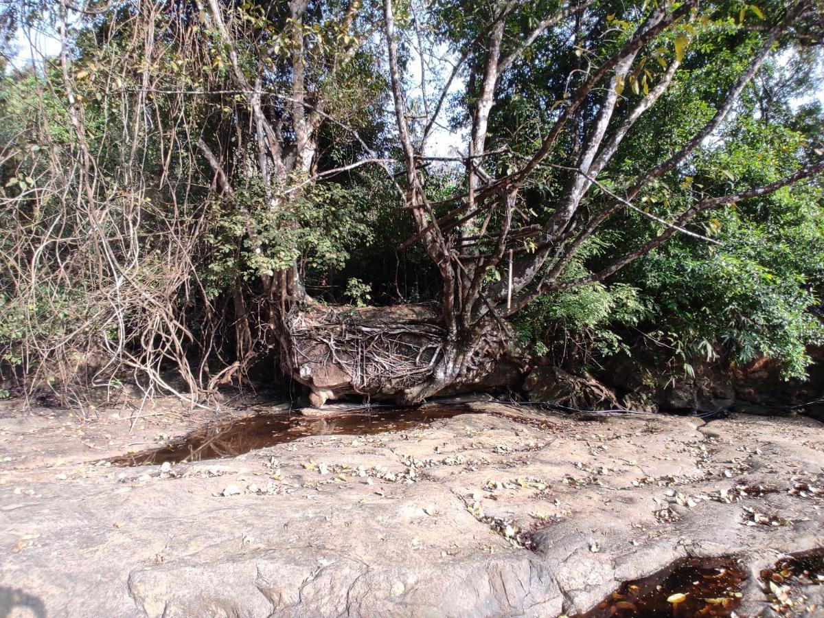 Riverbench Homestay Munnar, Anaviratty Ngoại thất bức ảnh