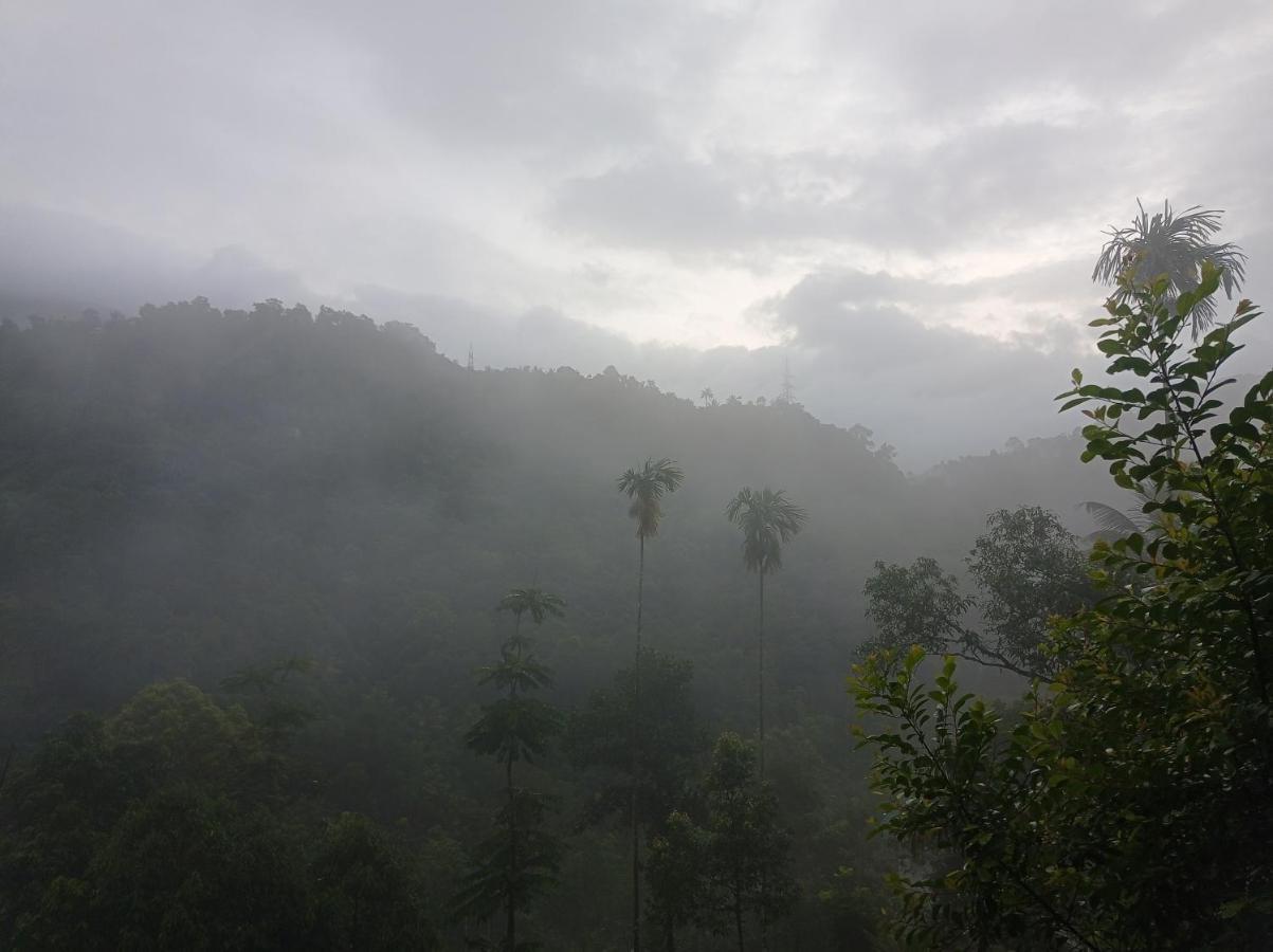 Riverbench Homestay Munnar, Anaviratty Ngoại thất bức ảnh