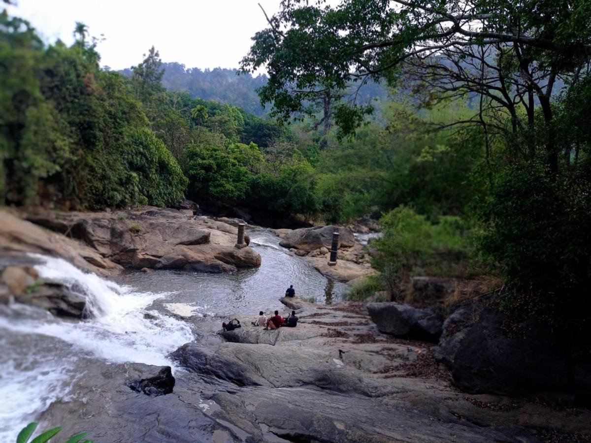 Riverbench Homestay Munnar, Anaviratty Ngoại thất bức ảnh
