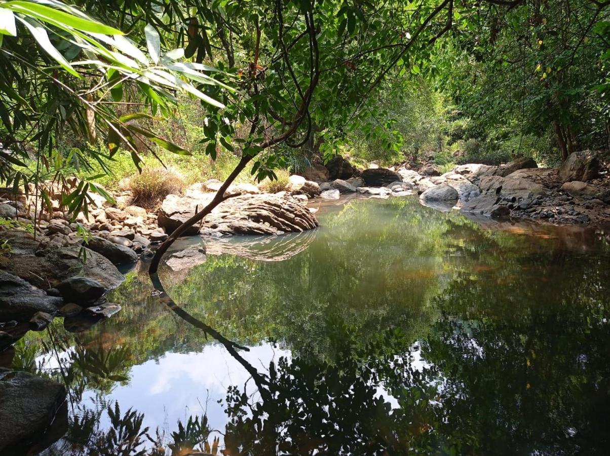 Riverbench Homestay Munnar, Anaviratty Ngoại thất bức ảnh