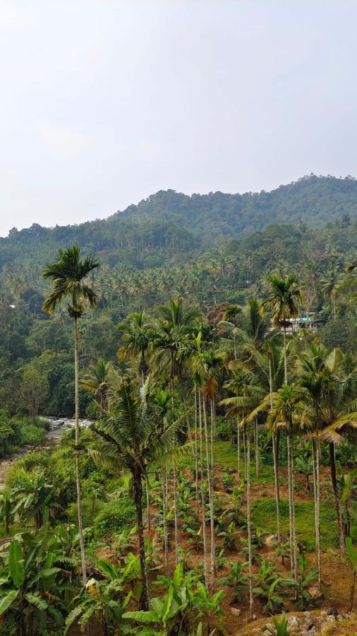 Riverbench Homestay Munnar, Anaviratty Ngoại thất bức ảnh