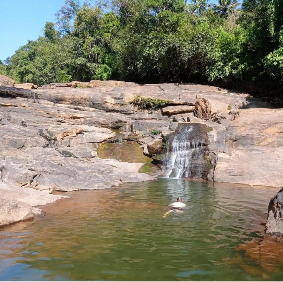 Riverbench Homestay Munnar, Anaviratty Ngoại thất bức ảnh