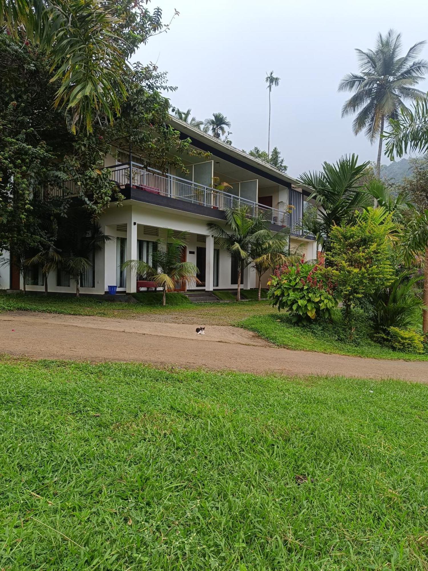 Riverbench Homestay Munnar, Anaviratty Ngoại thất bức ảnh