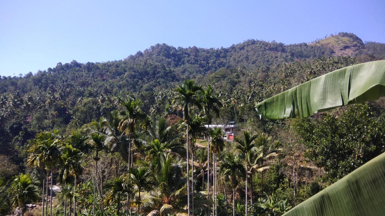 Riverbench Homestay Munnar, Anaviratty Ngoại thất bức ảnh